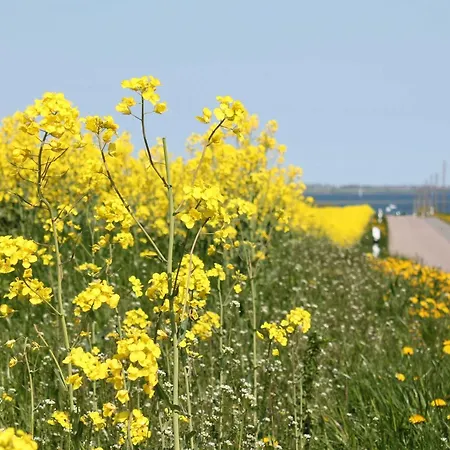 A10 Ostsee Land Ferienhaeuser Kroepelin *